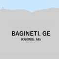 Bagineti